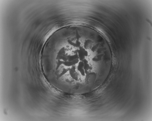 X0000100850899200806201211