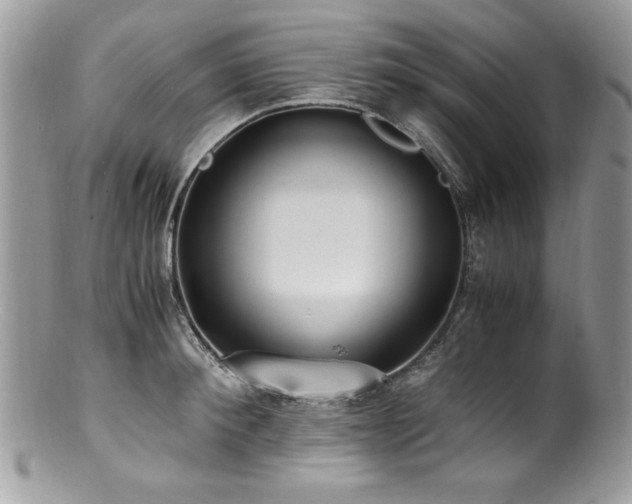X0000100850900200806201211