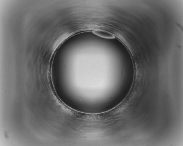 X0000100850901200806201211