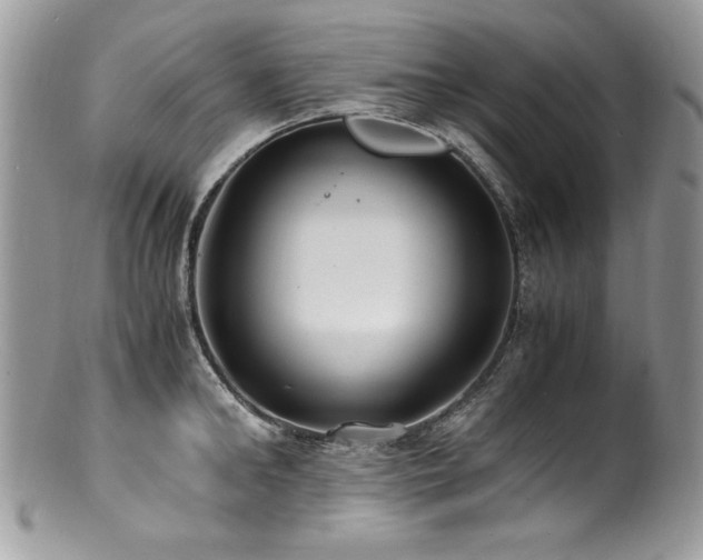 X0000100850902200806201211