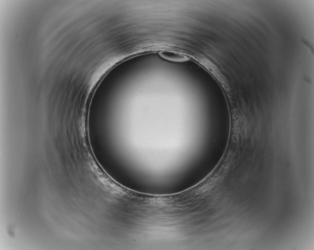 X0000100850904200806201211