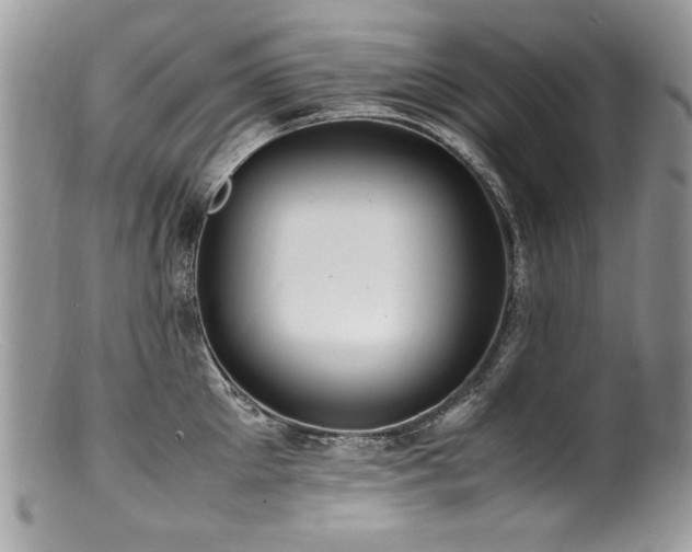 X0000100850905200806201211