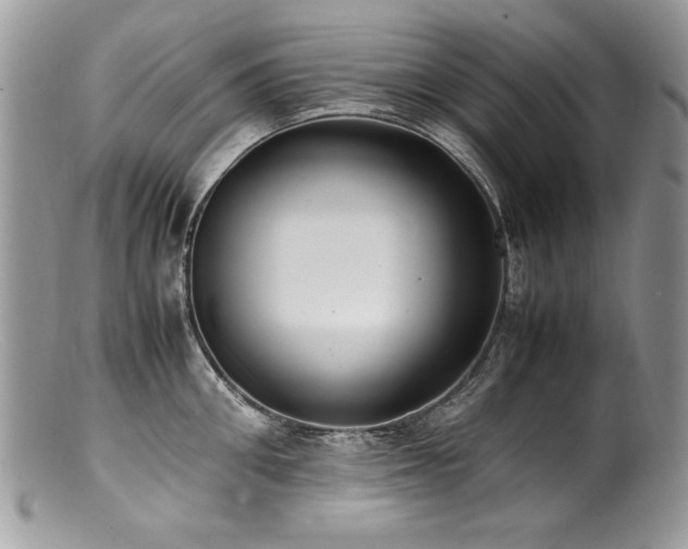 X0000100850906200806201211