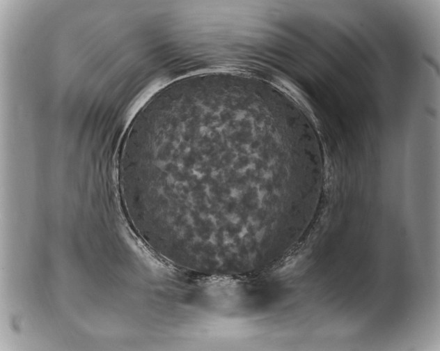 X0000100850907200806201211