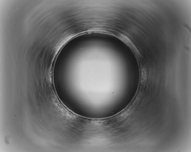 X0000100850908200806201211