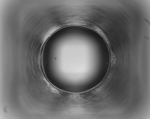 X0000100850909200806201211