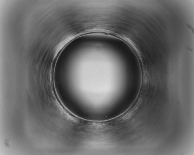 X0000100850910200806201211