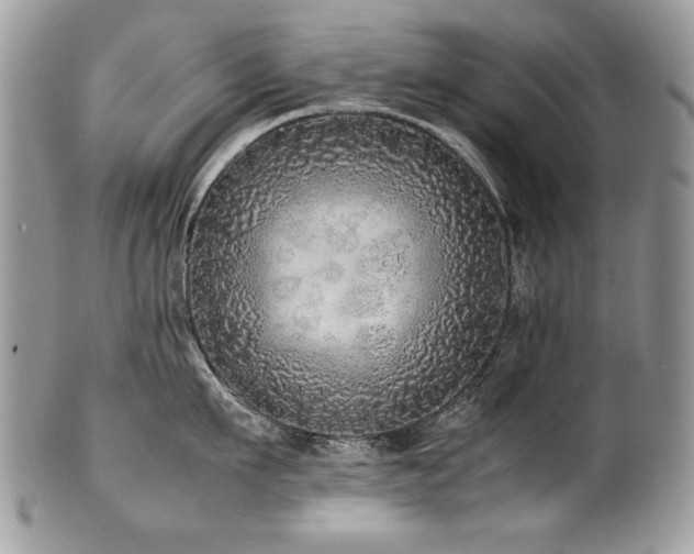 X0000100850911200806201211