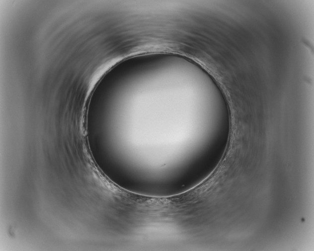 X0000100850912200806201211