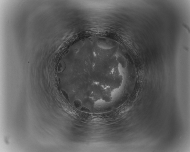 X0000100850913200806201210