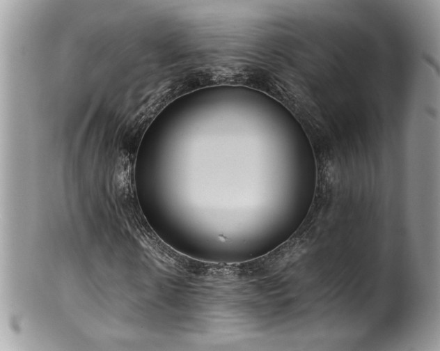 X0000100850914200806201210