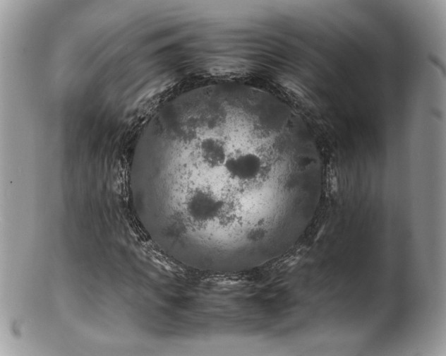 X0000100850917200806201210