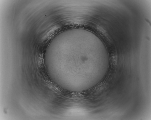 X0000100850918200806201210