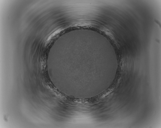 X0000100850920200806201210