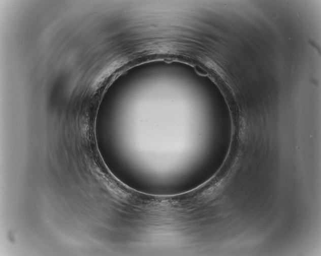 X0000100850922200806201210