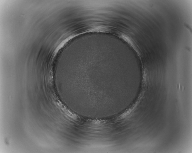 X0000100850923200806201210