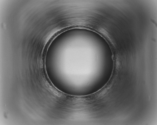 X0000100850924200806201210