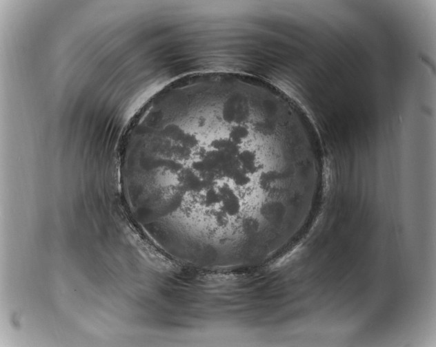X0000100850925200806201210