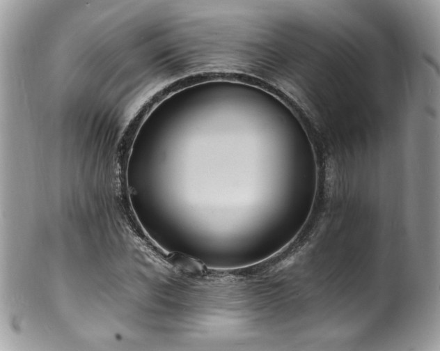 X0000100850926200806201210