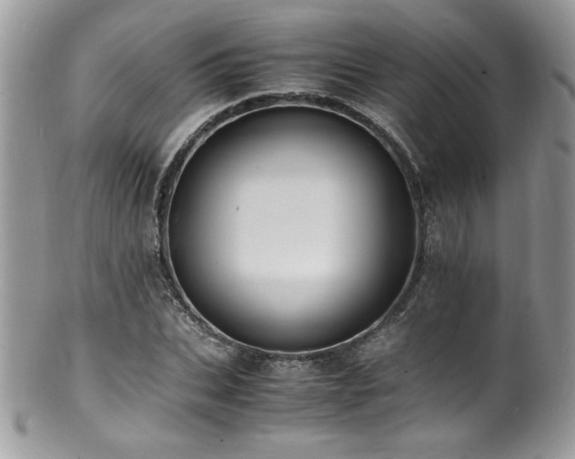 X0000100850927200806201210