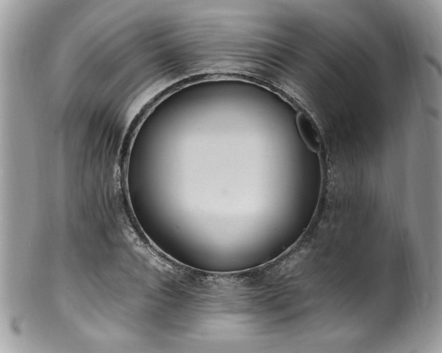 X0000100850928200806201210