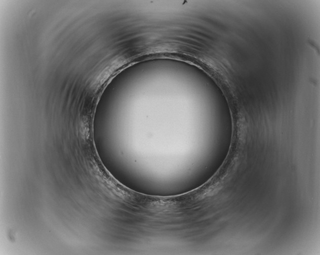X0000100850929200806201210