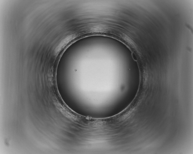 X0000100850930200806201210