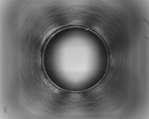 X0000100850931200806201210