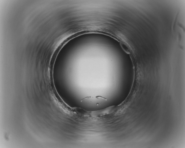 X0000100850932200806201210