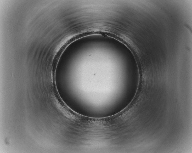 X0000100850934200806201210