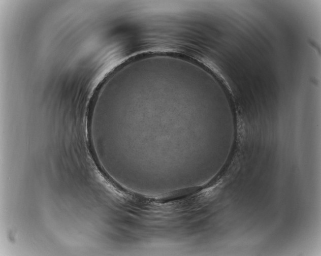 X0000100850935200806201211