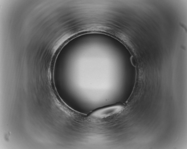 X0000100850936200806201211