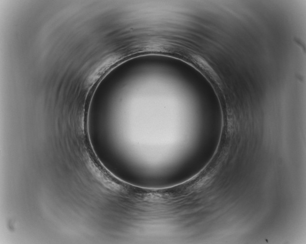 X0000100850938200806201211