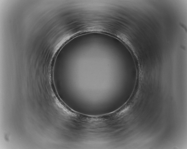 X0000100850941200806201211