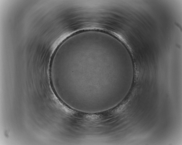 X0000100850943200806201211