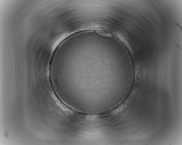 X0000100850944200806201211