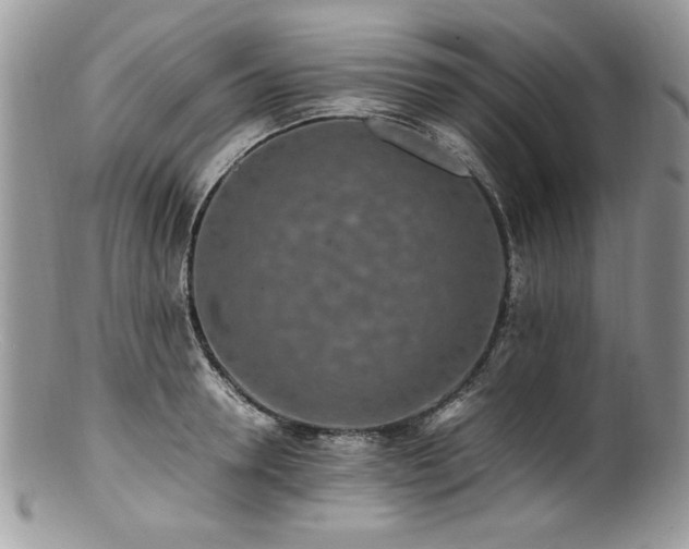 X0000100850946200806201211
