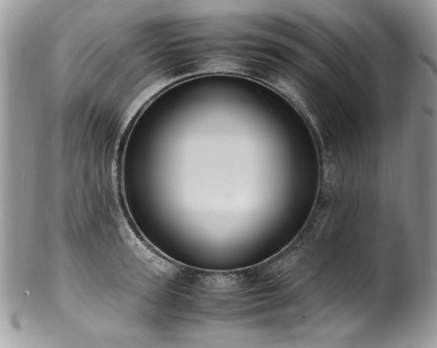 X0000100850947200806201211