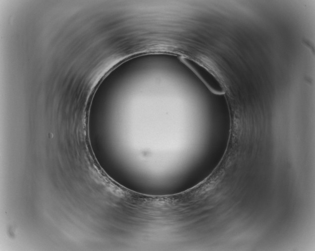 X0000100850948200806201211