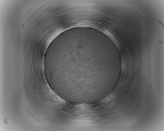 X0000100850950200806201211