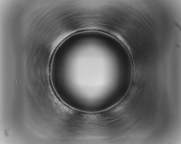X0000100850951200806201211