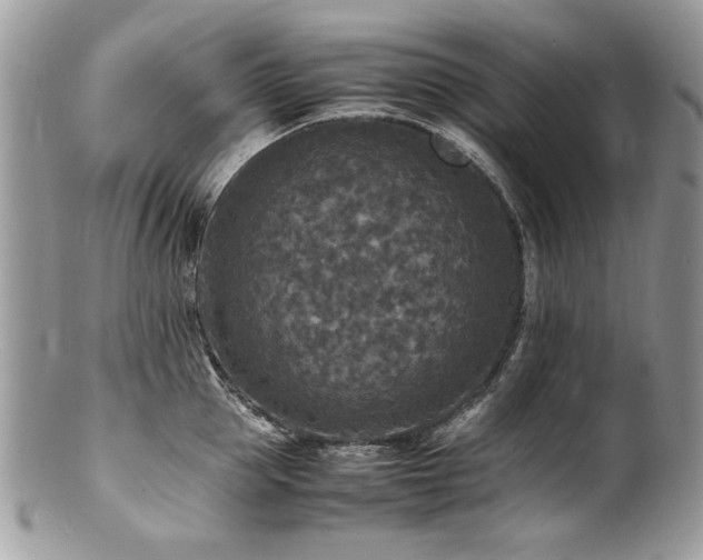 X0000100850953200806201211
