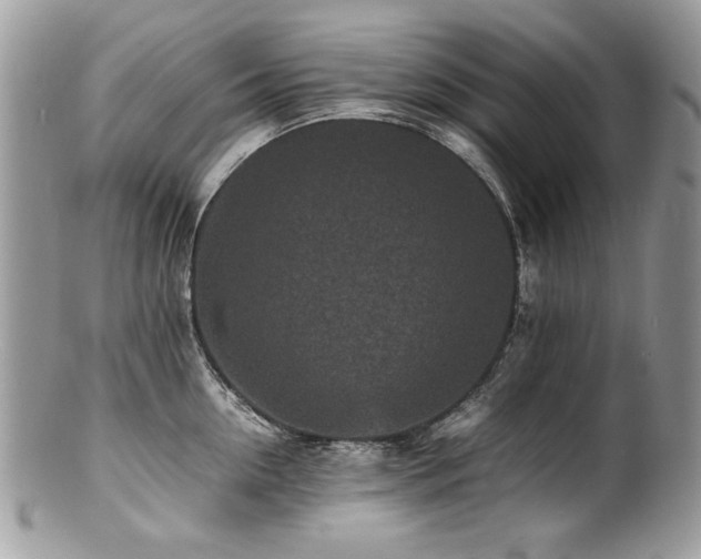 X0000100850954200806201211