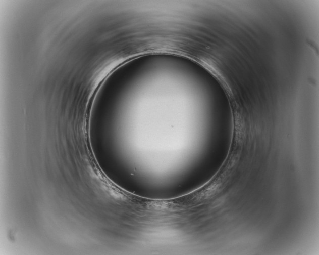 X0000100850956200806201211