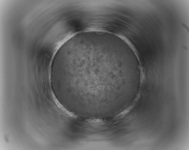 X0000100850957200806201211