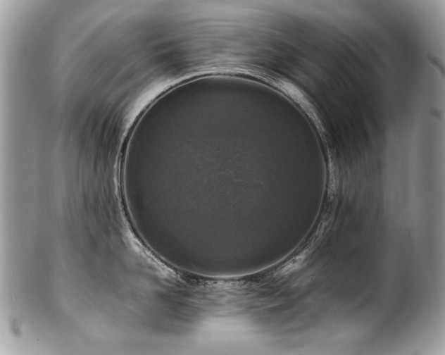 X0000100850958200806201211