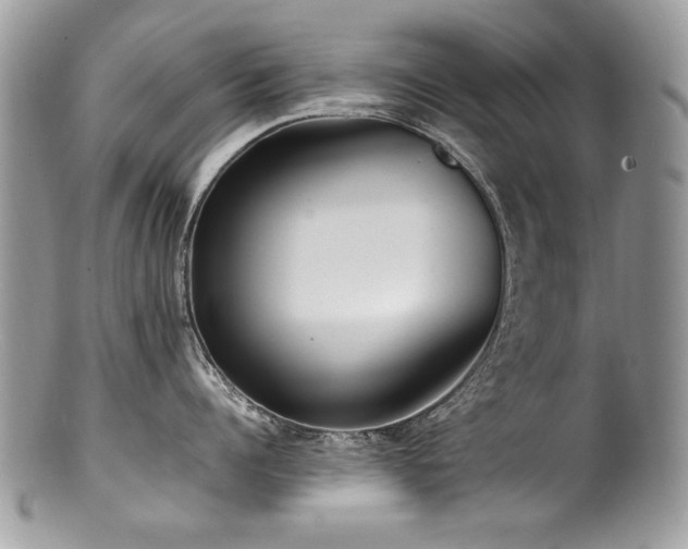 X0000100850960200806201211