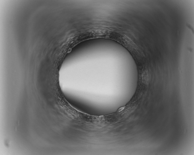X0000100850961200806201210