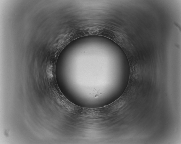 X0000100850962200806201210