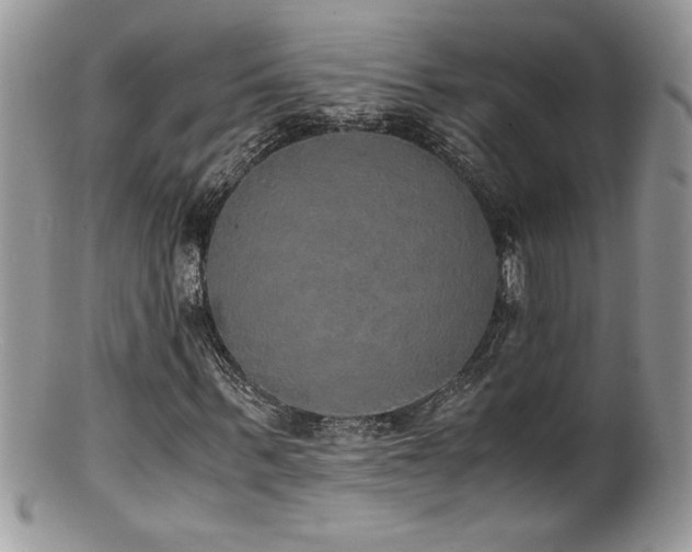 X0000100850963200806201210